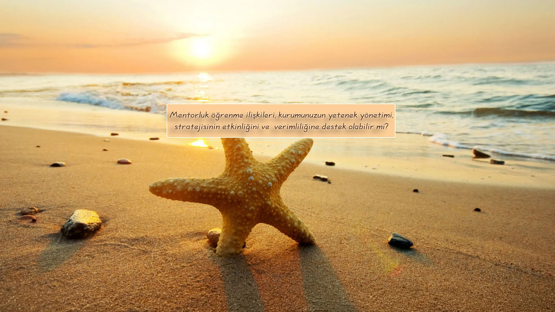 Öğrenme Ortağı kurumsal mentorluk ve gelişim görseli 1