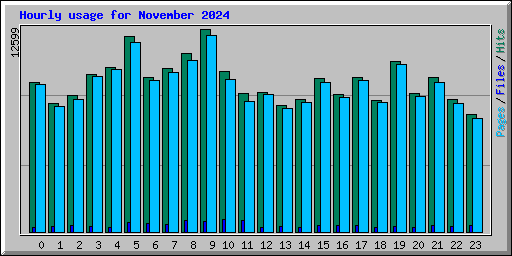 Hourly usage for November 2024