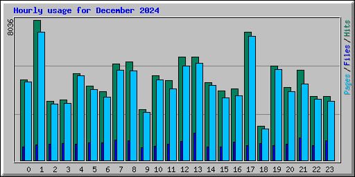 Hourly usage for December 2024