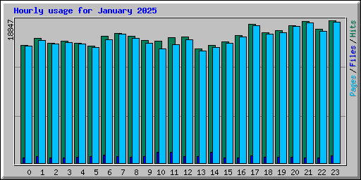 Hourly usage for January 2025