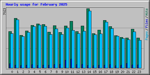 Hourly usage for February 2025