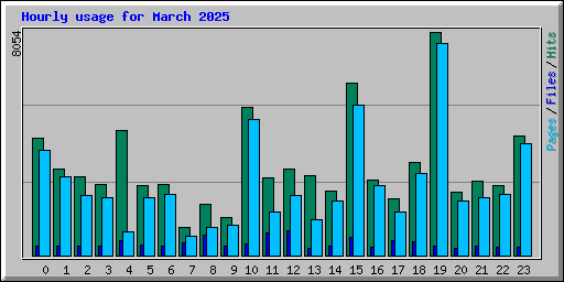 Hourly usage for March 2025