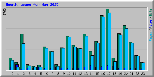 Hourly usage for May 2025