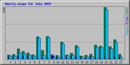 Hourly usage for July 2025