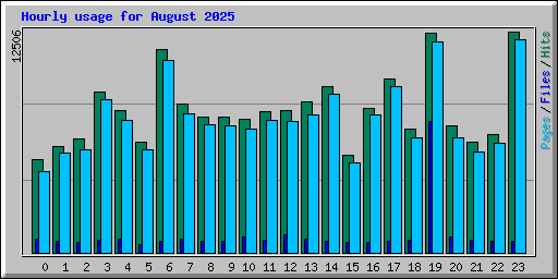 Hourly usage for August 2025
